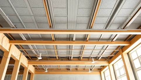 Jaki strop na duże rozpiętości